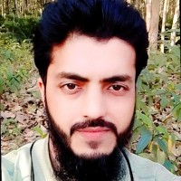 Md Anamul Hasan