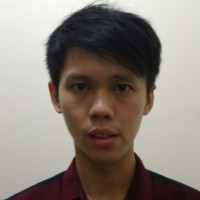 albert citra