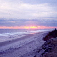 Debra Delongis