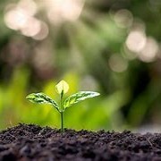 Ecology Environmental Science