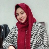 Syeda Noor-Ul-Ain