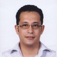 Yasser Elhamamsy