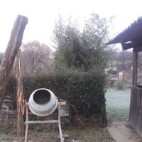Bálint Ferenc
