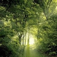 A Balanced Path Counseling