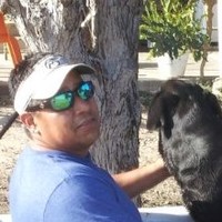 Robert Cardenas