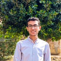 Youssef Elsayed