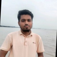 Mohammad Ariful Islam