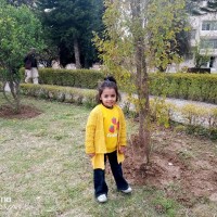 Madiha Kanwal
