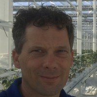 Marco Van Marion