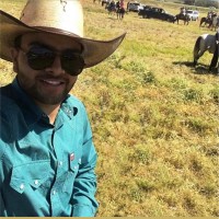 Paulo Henrique Borges