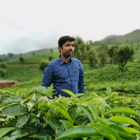 Rajesh Kumar