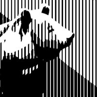 Bear Label Machine, Inc.