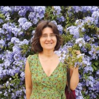 Rosa Pérez