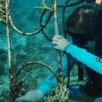 Antoine Van Dierendonck