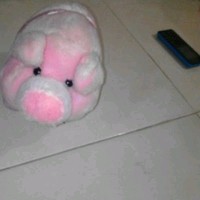 Vhery Mone Larico