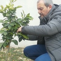 Miguel Reis