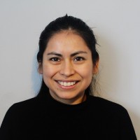 Diana Paola Gutierrez Lozada