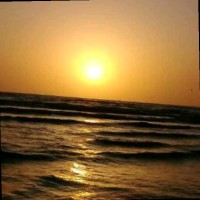 Narmeen Hussain