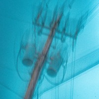 Matthew Spriggs