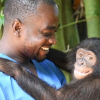 Dr Dalton Akamba