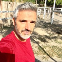 andrea zanchini