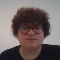 Maarten Mees