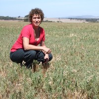 Sally Peltzer