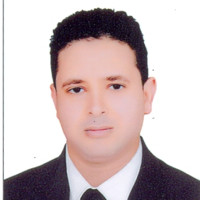 Amr Ali