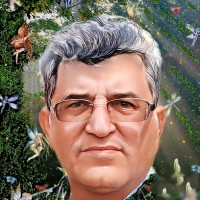 mohammmadjavad karami