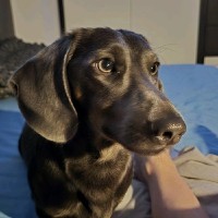 Javier Eduardo Rivero Gonzalez