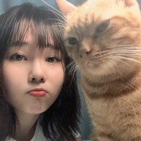 Elsa Zhao