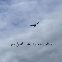 Mahmoud Wagdy