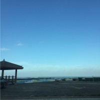 배성학