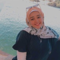 Alaa Samir