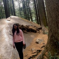 Bhavya P