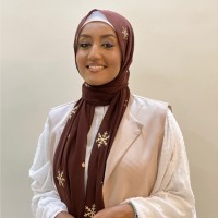 Saga Mohamed Amer