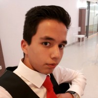 Mostafa Sultani