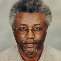 Mirghani Ibrahim Eltai