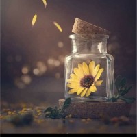 Abdul Wahab Alrasheed