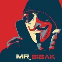 Mr. Bibak