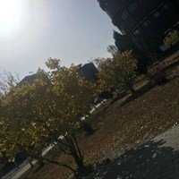 张梦兰