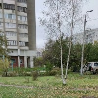 A P Yermolenko