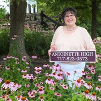 Antoinette High