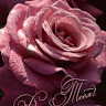 Nadeem Muhammad