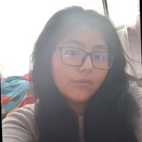 Carely Villca