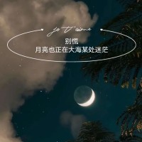 王金链