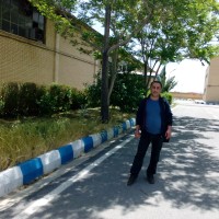 Reza Zalnezhad