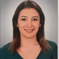 Sinem Ergin