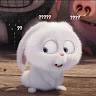 Vỹ Triệu