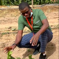 Thierno Vaz